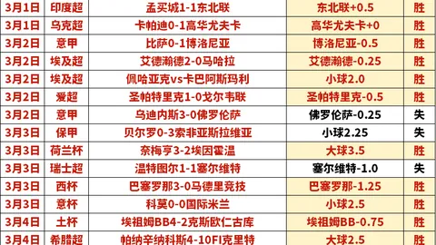 [德甲]第21轮：沃尔夫斯堡迎战勒沃库森