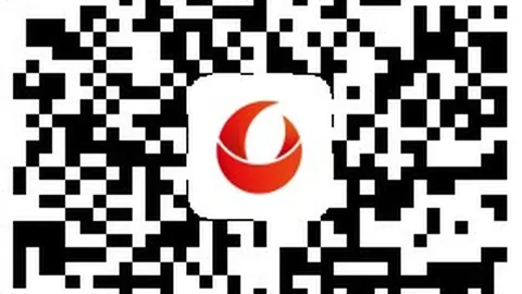 版本更新引热议，玩家体验全面升级